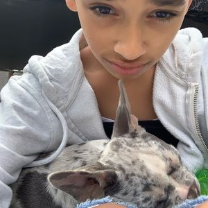 Meet your Posher, Addison